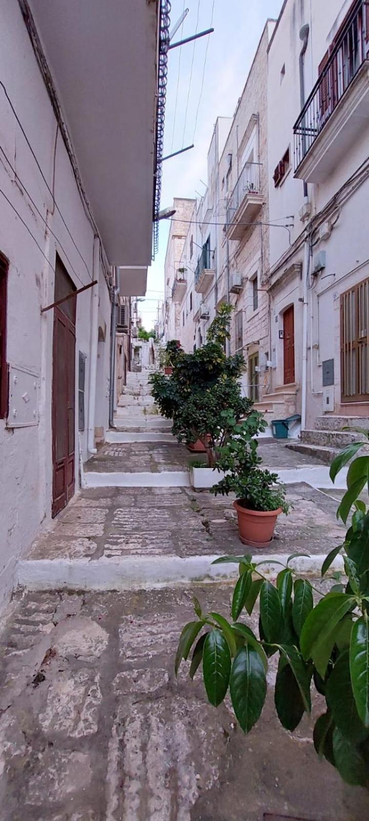 Vico Anglani Guest House Ostuni Exterior foto